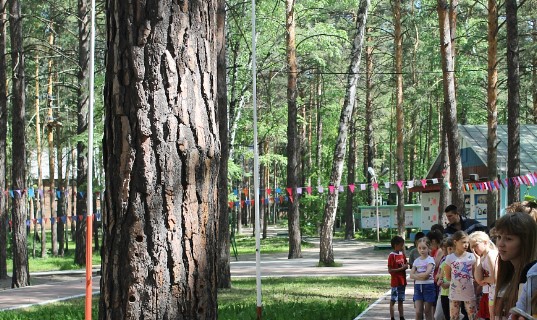 Детский лагерь Созвездие Юниор в Новосибирске