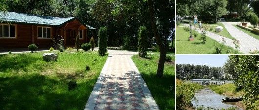 База отдыха «Дельта Трофи» Астрахань 2026