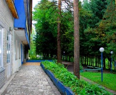 Базы отдыха России - База отдыха Лесные дали