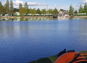 База отдыха У Василича Брянск официальный сайт