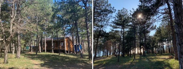 Базы отдыха Туапсе - База отдыха Зеленый Бор