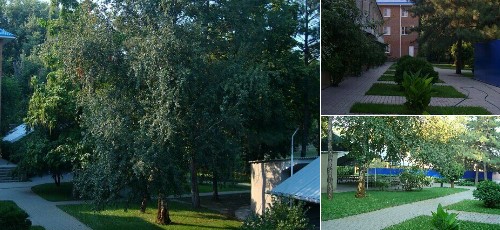 Базы отдыха России - База отдыха Полюс