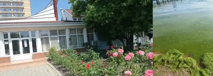 Базы отдыха Анапы - База отдыха Нижегородец